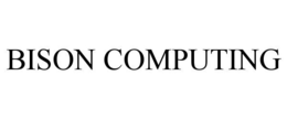 BISON COMPUTING