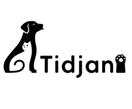 TIDJANI