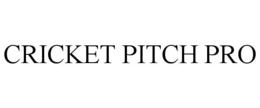 CRICKET PITCH PRO