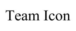 TEAM ICON
