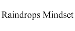 RAINDROPS MINDSET