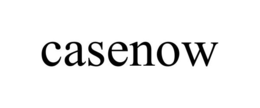 CASENOW