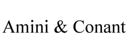 AMINI & CONANT