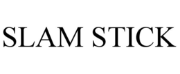SLAM STICK