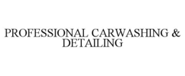 PROFESSIONAL CARWASHING & DETAILING