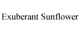 EXUBERANT SUNFLOWER