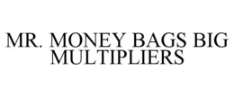 MR. MONEY BAGS BIG MULTIPLIERS