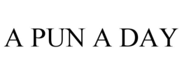 A PUN A DAY