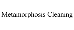 METAMORPHOSIS CLEANING