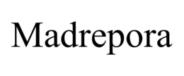 MADREPORA