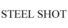 STEEL SHOT