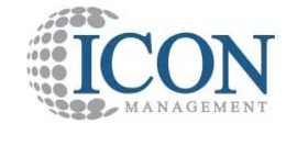 ICON MANAGEMENT