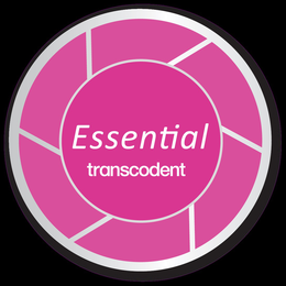 ESSENTIAL TRANSCODENT
