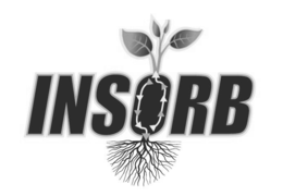INSORB