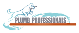 PLUMB PROFESSIONALS