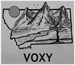 VOXY
