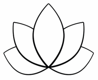 99058084