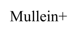 MULLEIN+