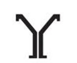 Y