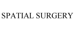 SPATIAL SURGERY