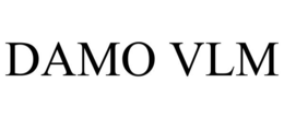 DAMO VLM