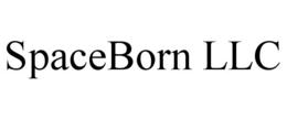 SPACEBORN LLC