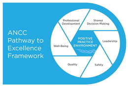 ANCC PATHWAY TO EXCELLENCE FRAMEWORK POSITIVE PRACTICE ENVIRONMENT PROFESSIONAL DEVELOPMENT SHARED DECISION-MAKING LEADERSHIP SAFETY QUALITY WELL-BEING