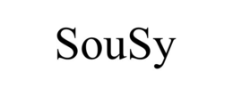 SOUSY