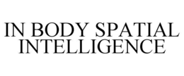IN BODY SPATIAL INTELLIGENCE