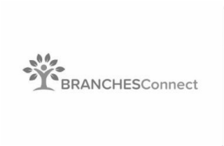 BRANCHESCONNECT