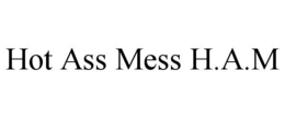HOT ASS MESS H.A.M