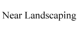 NEAR LANDSCAPING