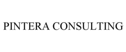 PINTERA CONSULTING