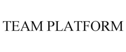 TEAM PLATFORM