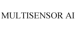 MULTISENSOR AI