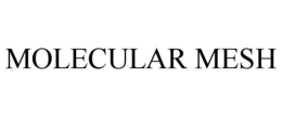 MOLECULAR MESH