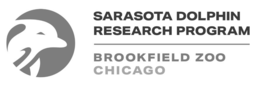 SARASOTA DOLPHIN RESEARCH PROGRAM BROOKFIELD ZOO CHICAGO