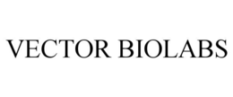 VECTOR BIOLABS