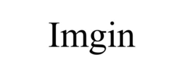 IMGIN