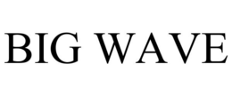 BIG WAVE