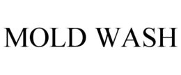 MOLD WASH