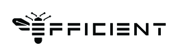 EFFICIENT