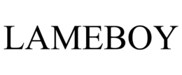 LAMEBOY