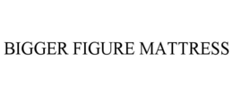 BIGGER FIGURE MATTRESS