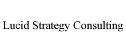 LUCID STRATEGY CONSULTING
