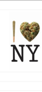 I NY CANNABIS NYC