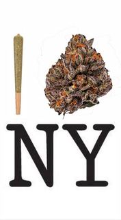I NY CANNABIS NYC