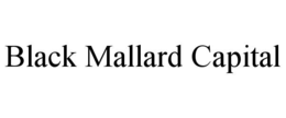 BLACK MALLARD CAPITAL