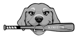 KINSTON