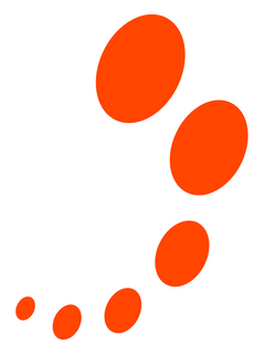 99221569